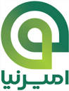امیرنیا